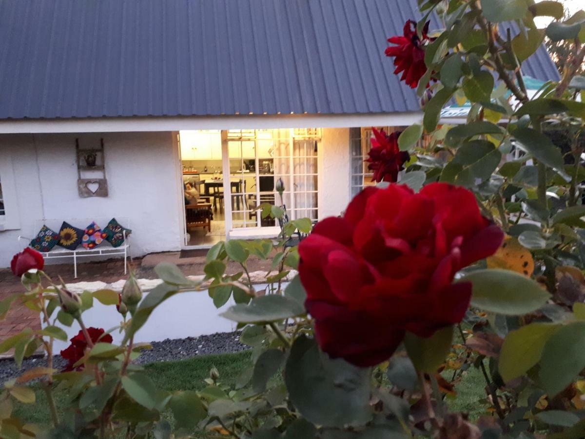 Hotel Honeysuckle Clarens Zewnętrze zdjęcie